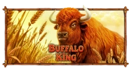 Buffalo King